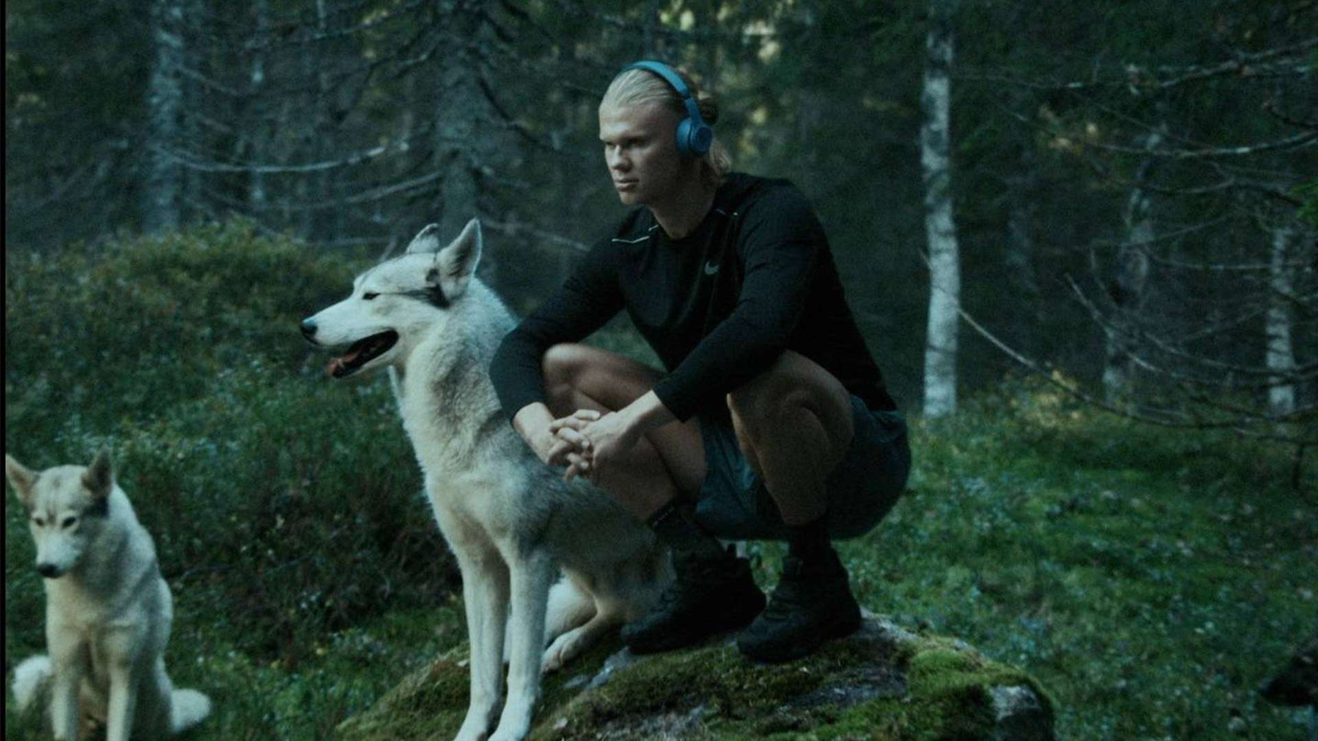 好者而言 好者而言